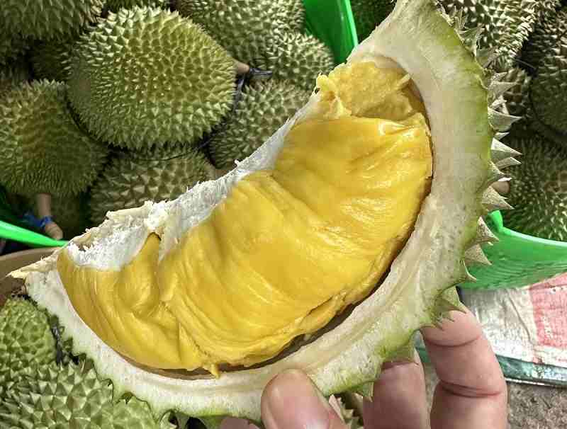 Loại sầu này cho cơm thơm ngon và giàu dinh dưỡng